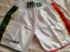 Tyson Fury Signed Mexico Shorts Coa