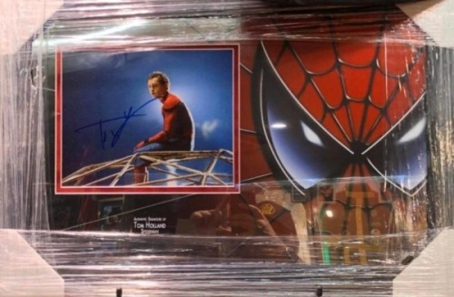 Tom Holland Signed And Framed Spiderman Display Certificate of Aucthenticity