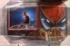 Tom Holland Signed And Framed Spiderman Display Certificate of Aucthenticity