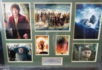 Martin Freeman And Andi Serks Signed And Framed The Hobbit Display Coa