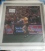 David Campese Signed And Framed Australia Rugby Display Certificate of Aucthenticity