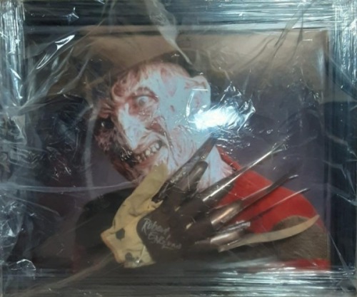 Robert Englund Signed And Framed Hand Certificate of Aucthenticity