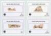 South Africa 1893 onwards. Black file comprising a comprehensive collection of approx. 140 signatures of Test and first-class South African cricketers. The majority of signatures are in ink on white cards with printed &lsquo;South Africa Test Player&rsquo; title and - 2