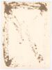 Vallance William Crisp Jupp. Sussex, Northamptonshire & England 1909-1938. Original sepia photograph of Jupp, half length wearing suit and trilby hat, cigarette in hand, at Scarborough for the match played 5th- 7th September 1928, in which Jupp played for - 2