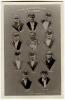 ‘Yorkshire County C.C. 1925’. Real photograph postcard of the Yorkshire team of 1925 in cameo images with Major Lupton the Captain. Fielding, Leeds. Very good condition