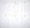 Nottinghamshire C.C.C. 1983-2000. Twelve official autograph sheets for seasons 1983 (18 signatures), 1984 (19), 1985 (22), 1988 (22), c.1988 (21), 1993 (24), 1994 (22), 1995 (23), 1996 (26), 1997 (24), 1998 (22) and 2000 (20). Signatures include Rice, Hen