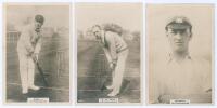 Nottinghamshire C.C.C. Three Godfrey Phillips &lsquo;Pinnace&rsquo; premium issue cabinet size mono real photograph plain back trade cards of J.[R.] Gunn (Nottinghamshire & England 1896-1925), no. 64.C, A.W. Carr (Nottinghamshire & England 1910-1934), no 154.C, both 