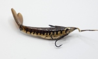 A rare Carswell New Sylph (Bells Life) 1 ¾" horn minnow bait, painted fish shaped body with out-curved horn tail twin side mounted gut traced flying treble hooks and gut loop eye, circa 1910