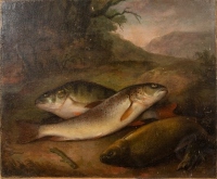 J. Harper: Still life study of Perch, Trout and Tench in wooded bankside setting, signed to bottom right corner "I. Harper, Wednesbury, 1824, unframed, 13 ½" x 18"