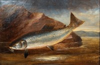 H.L. Rolfe: Hooked Salmon set within a rocky riverscape, oil on canvas signed and indistinctly dated, in gilt frame, image 11 ¾" x 17 ¾" (see illustration)