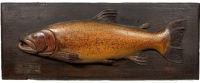 A Fochaber's carved wooden Rainbow Trout the naturalistically painted half block wooden fish with relief fins, mounted on rectangular chamfered and stained pine backboard with painted legend to bottom left "Rainbow Trout, Caught by G. Fothergill, May 1922