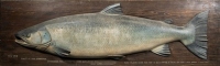 A Fochaber's carved wooden 46 ½lbs Wye Salmon, the naturalistically painted half block fish with relief fins, mounted on rectangular chamfered stained pine backboard with white painted legend "46½lbs, Caught by John Hargreaves in Strong 'Un Pool, Pennoxs