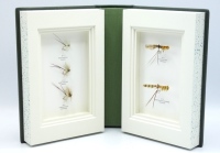 Creel Press: Dry Flies in the Sunshine (The Flies of J.W. Dunne), 2008, deluxe limited edition 23/25, 3 vols., signed by Tim Benn (publisher), intro by Terry Griffiths, two vols. displaying five actual specimen mayflies to one vol. and fifteen actual spec