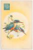 Australia tour to South Africa 1957/58. Rarer official Shaw Savill Line ‘Q.S.M.V. “Dominion Monarch”’ folding post tour souvenir programme for the 1957/58 tour to South Africa. The programme with decorative colour front cover illustration of kingfishers. 