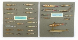 Ten plastic display boxes holding a collection of 116 minnow baits, various makes and models by Wadhams, Allcock, Hattons et al, including stone loach, quill minnows, celluloid minnows et al (Q)