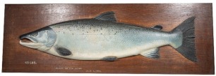 A fine and rare Fochaber's river Alta carved wooden Salmon, naturalistically painted half block model with relief carved fins, mounted on rectangular chamfered oak backboard with white painted legend "43lbs., Killed on the Alten, July 4, 1908", 56 ¼" wide