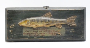 A Fochaber's style carved wooden Gudgeon, half block fish naturalistically painted and with relief fins, mounted on green painted chamfered pine backboard with red painted legend "Gudgeon, Master Hugh Cornish, first fish, Caught on red worm at Crickhowell