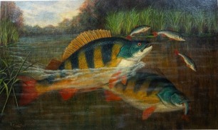 A. Roland-Knight: Two Perch attacking Roach fry in wooded landscape, oil on canvas, signed, in heavy glazed gilt slip frame, 17 ½" x 29 ½" (see illustration)