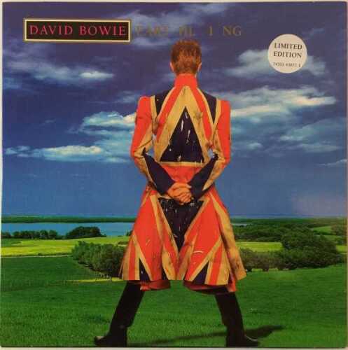 DAVID BOWIE - EARTHLING - LP (74321 43077-1)