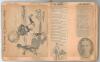 Cricket and football 1905-1907. Leather bound scrapbook album comprising a good collection of newspaper cuttings covering cricket and football matches and players of the period and other non-sporting content of a light-hearted nature. Cricket references i