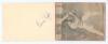 New Zealand tour to England 1969. Two joined album pages signed in ink to one side by eleven members of the New Zealand touring party. Signatures are Murray, Cunis, Yuile, Milburn, Hastings, Turner, Wadsworth, Motz, Collinge, Pollard and D. Hadlee. Also s - 2