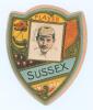 Kumar Shri Ranjitsinhji. Cambridge University, Sussex, London County & England 1893-1920. Rare colour shield-shaped card by J. Baines Litho of Bradford c.1895 depicting Ranjitsinhji with &lsquo;Played Sussex&rsquo; above and below. Advertising to verso. Small adhesiv