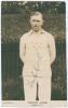 Thomas Edwin Reed &lsquo;Tommy&rsquo; Cook. Sussex 1922-1937. Sepia real photograph plain back postcard of Cook standing three quarter length wearing cricket attire and Sussex sweater. Printed title &lsquo;Tommy Cook, Sussex C.C.C.&rsquo;. Signed in ink to photograph by Cook. Pu