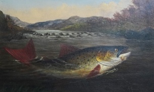 A. Roland Knight: Taken on the Mayfly, study of a hooked brown trout in wooded, rocky river landscape, oil on board, signed, framed and glazed, image, 9 &frac12;" x 15 &frac12;"