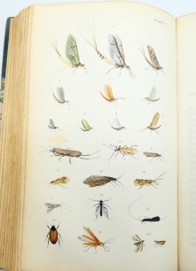 Francis Francis: A Book on Angling, 1867 1st ed., 15 plts. including three col. plts. of salmon flies, imitations of grubs and beetles, green hf, cf, bdg. marbled boards, ex John Goddard library
