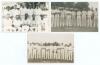 Hampshire C.C.C. early 1920s. Three original mono real photograph postcards of Hampshire teams of the period. One, dated to verso &lsquo;1921&rsquo;, with the players seated and standing in rows wearing cricket attire (publisher unknown), the others of the teams line