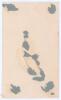 Donald George &lsquo;Don&rsquo; Bradman. New South Wales, South Australia & Australia 1927-1949. Unusual and attractive sepia printed plain back advertising postcard of Bradman in cameo playing a drive, wearing Australia Test cap. Printed title to top &lsquo;Don Bradman. T - 2