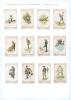 &lsquo;Cricketers Terms&rsquo; series. W.&F. Faulkner 1899. Rare set of twelve plain cigarette cards entitled &lsquo;A maiden over&rsquo;, &lsquo;Caught&rsquo;, &lsquo;Fielding&rsquo;, How&rsquo;s That&rsquo;, &lsquo;Leg Before&rsquo;, &lsquo;Leg Hit&rsquo;, &lsquo;Leg Stump&rsquo;, &lsquo;Over&rsquo;, &lsquo;Run Out&rsquo;, &lsquo;Slip&rsquo;, Stumped&rsquo; and &lsquo;Wide&rsquo;. Odd very minor faul