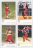 T.C.C.B./ E.C.B./ Classic Cricket Cards &lsquo;International Cricketers&rsquo; series. Black binder comprising an excellent near complete run of card numbers 1-348, lacking just two, nos. 214 and 216. 104 cards are signed by the featured cricketer, including a good n - 3