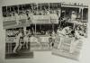 England v New Zealand 1983. A selection of eleven large/ oversize original mono press photographs depicting match action, all most likely from the 4th (final) Test at Trent Bridge 25th- 29th August 1983. Players featured include Mike Gatting, Ian Botham, 