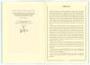 &lsquo;E.W.S. (1907-2000). The Last Interview&rsquo;. David Rayvern Allen 2000. Limited edition of ninety three copies, this being number 55, signed by Rayvern Allen. Excellent condition. - 2