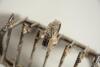 Cricket toast rack c1900. A Victorian silver plated, six division toast rack with five pairs of crossed cricket bats, with a set of angled cricket stumps and bails at each end, the handle of the rack in the form of a cricketer&rsquo;s belt and buckle on a crick - 2