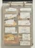 International Test and County signatures 1920s-1980s. File containing over three hundred signatures, mainly of cricketers with the odd footballer, in ink and pencil, the majority on individual pieces, with the odd small multi-signed album page. Signatures
