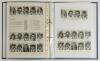 Warwickshire C.C.C. 1950s-1980s. Blue folder comprising a large selection of signed magazine extracts, cuttings, pages etc. of Warwickshire teams and players. Over two hundred and eighty signatures with heavy duplication. Signatures include Horner, Barber - 5