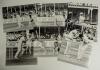 England v New Zealand 1983. A selection of eleven large/ oversize exhibition style original mono press photographs depicting match action, all most likely from the 4th (final) Test at Trent Bridge 25th- 29th August 1983. Players featured include Mike Gatt