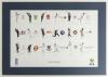 &lsquo;County Captains 2006&rsquo;, Keith Fearon, Limited edition 60/100, signed in pencil by each of the eighteen County Captains, signatures include Rikki Clarke, Dale Benkenstein, David Hemp, Dimitri Mascarenhas, Robert Key, Stuart Law, Paul Nixon, Ed Smith, Nicky